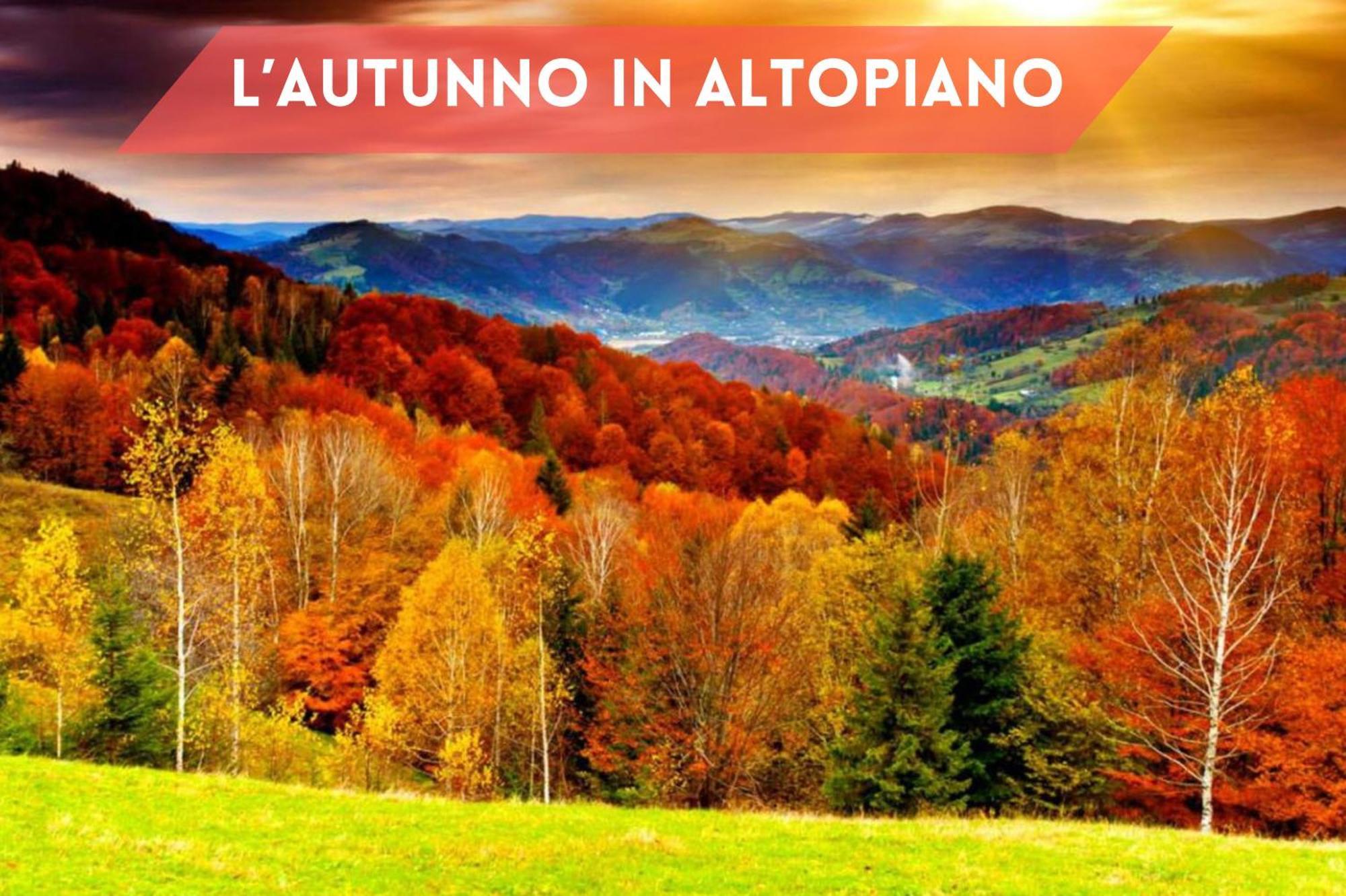 Elegante Bilocale Con Balcone - Perfetto Per Coppie Appartement Gallio Buitenkant foto
